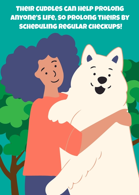 Pet Care Message
