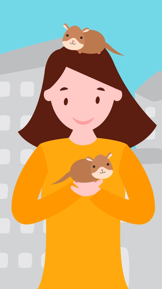 Pet Care WallPaper Pet Care WallPaper