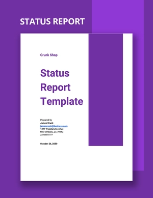 Status Report