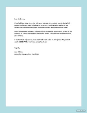 Accountant Reference Letter Template