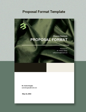 Proposal Format Template Proposal Format Template