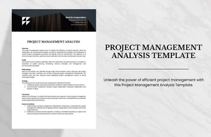 Project Management Analysis Template