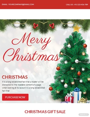 Christmas Gift Sale Newsletter Template