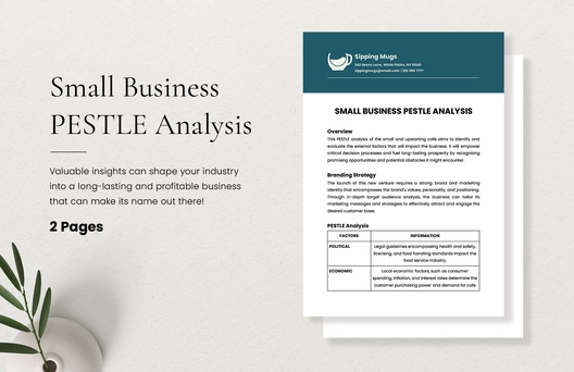 Small Business PESTLE Analysis Template