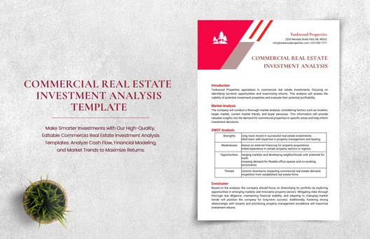 Commercial Real Estate Investment Analysis Template