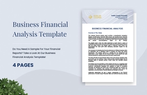 Business Financial Analysis Template