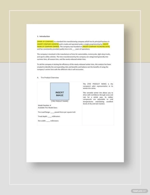 Risk Benefit Analysis Template