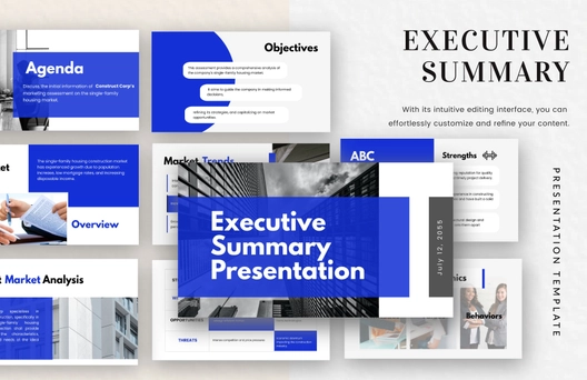 Executive Summary Presentation Template