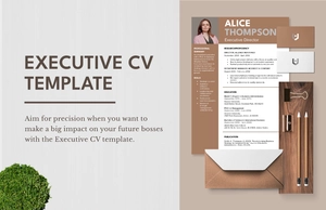 Executive CV Template