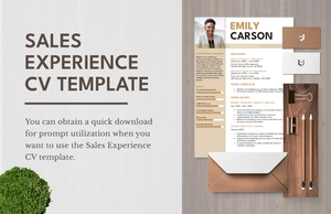 Sales Experience CV Template Sales Experience CV Template