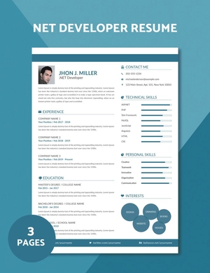 .Net Developer Resume