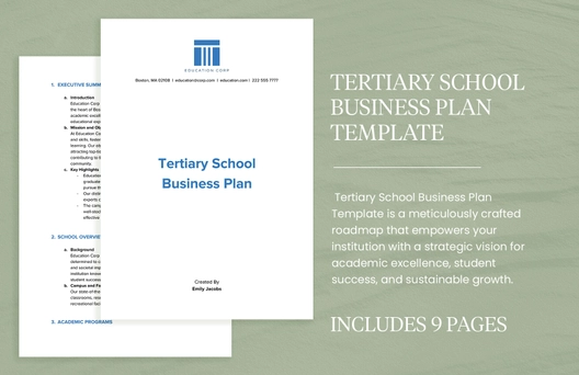 Tertiary School Business Plan Template