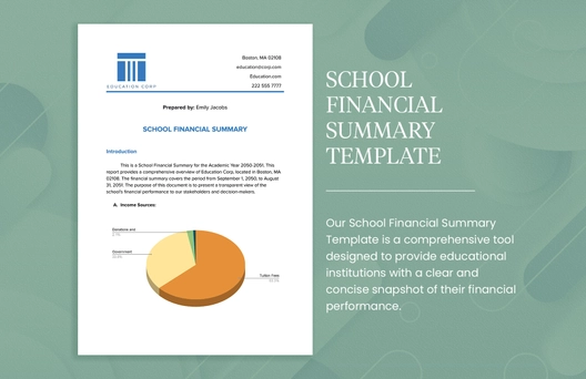 School Financial Summary Template