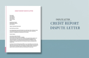Credit Report Dispute Letter