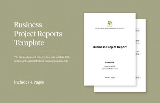 Business Project Reports Template Business Project Reports Template