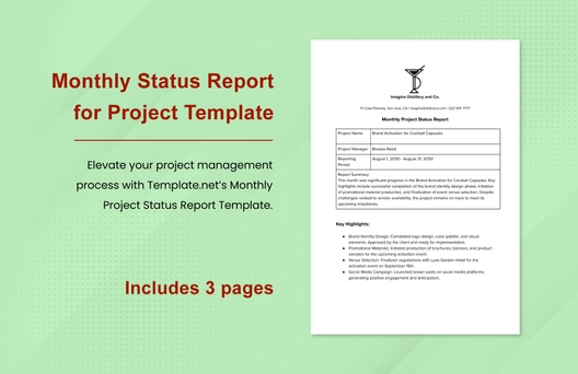 Monthly Status Report for Project Template