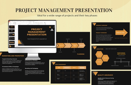 Project Management Presentation Template