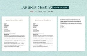 Business Meeting Follow Up Letter Business Meeting Follow Up Letter