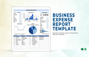 Business Expense Report Template