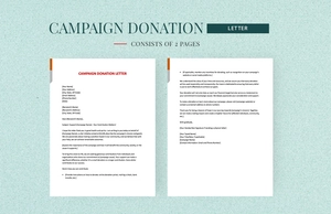 Campaign Donation Letter Campaign Donation Letter