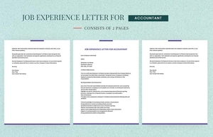 Job Experience Letter For Accountant
