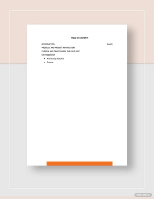 Field Visit Report Template