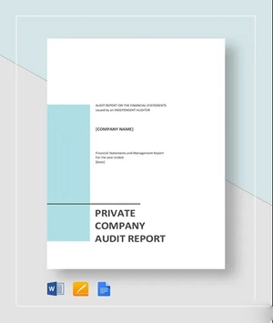 Private Company Audit Report Sample Template