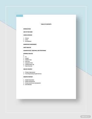 Healthcare Marketing Plan Template