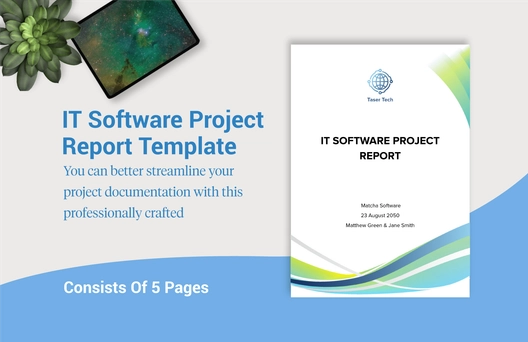 IT Software Project Report Template