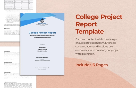 College Project Report Template College Project Report Template
