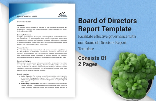 Board of Directors Report Template Board of Directors Report Template