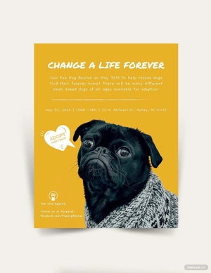 Adoption Flyer Template
