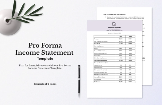 Pro Forma Income Statement Template