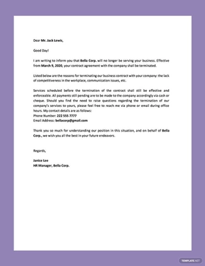 Termination of Services Letter to Client