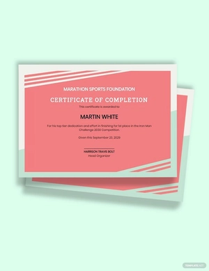 Prize Certificate Template