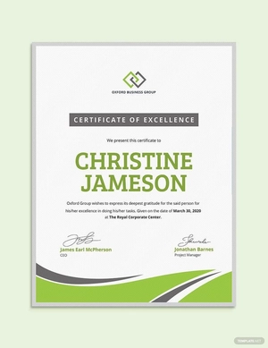 Modern Employee Excellence Certificate Template