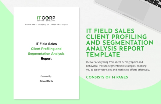 IT Field Sales Client Profiling and Segmentation Analysis Report Template