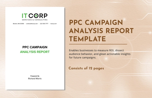 PPC Campaign Analysis Report Template