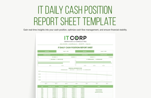 IT Daily Cash Position Report Sheet Template