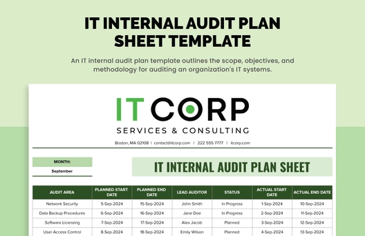 IT Internal Audit Plan Sheet Template