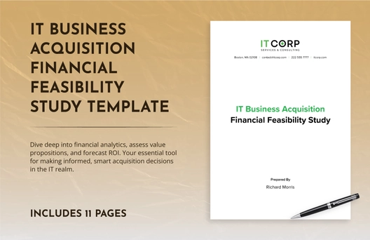 IT Business Acquisition Financial Feasibility Study Template