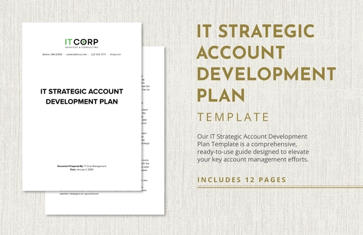 IT Strategic Account Development Plan Template