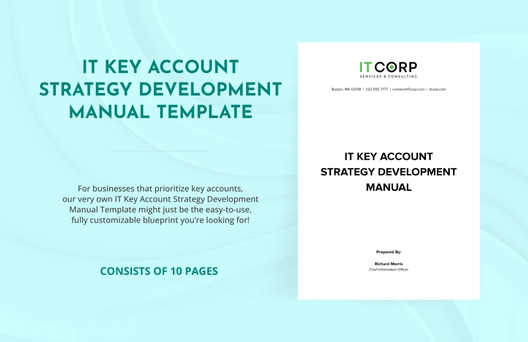 IT Key Account Strategy Development Manual Template IT Key Account Strategy Development Manual Template
