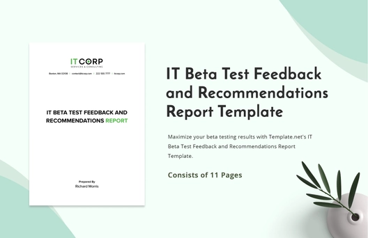 IT Beta Test Feedback and Recommendations Report Template