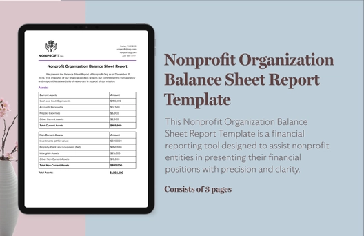 Nonprofit Organization Balance Sheet Report Template