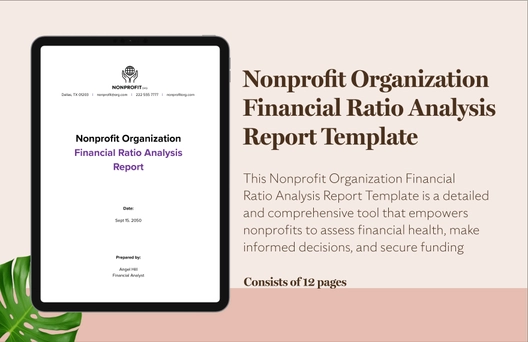 Nonprofit Organization Financial Ratio Analysis Report Template