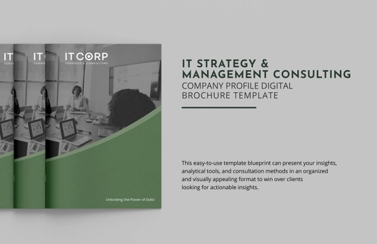 IT Business Intelligence & Analytics Consulting Company Profile Digital Brochure Template