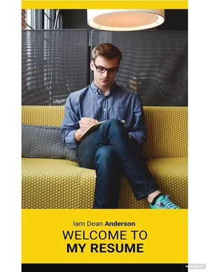 Professional Web Developer Resume