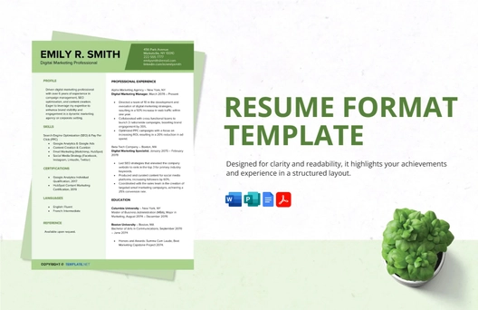 Resume Format Template Resume Format Template