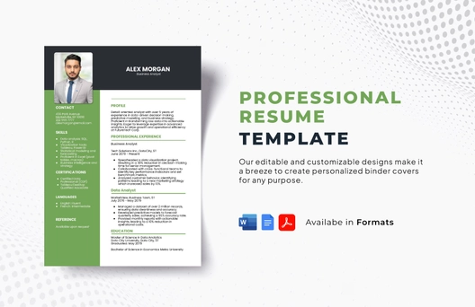Professional Resume Template